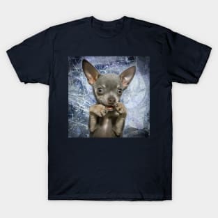 Cheeky Chihuahua Funny Face art design T-Shirt